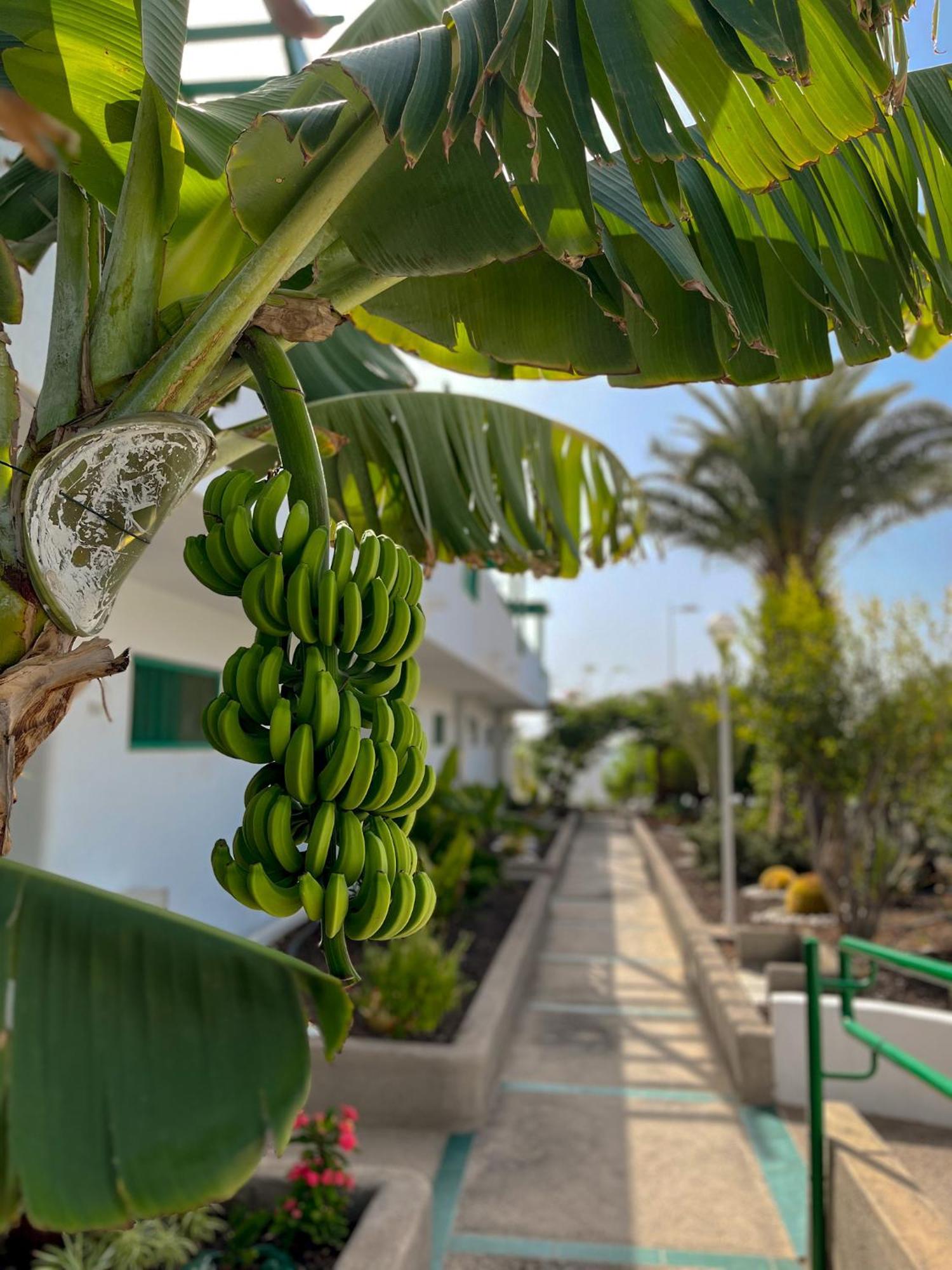 Beautiful Apartment Aguycan Beach 120 Playa del Aguila Maspalomas  Exterior foto